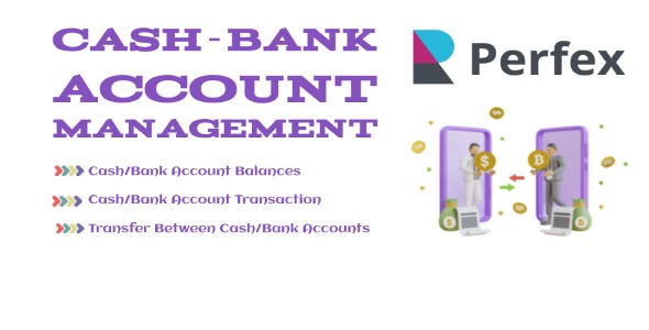 Bank Cash Account Balances 1.0.5